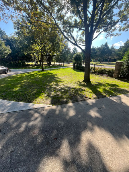 north texas landscape service