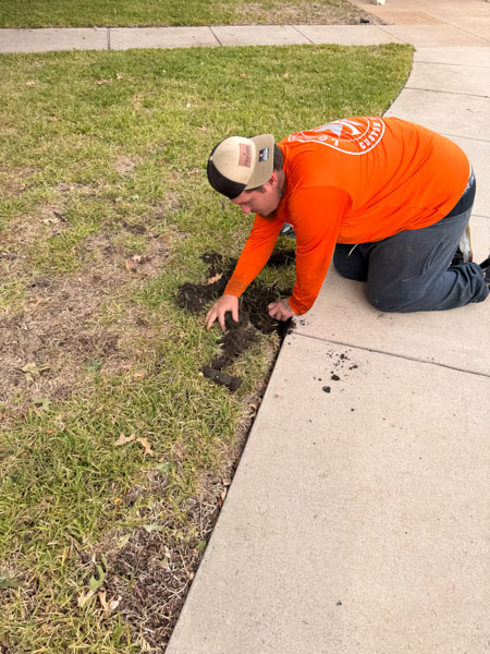 north texas landscape service